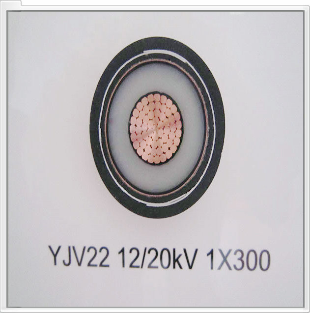 YJV|䓎zb 12/20KV 1X300MM2