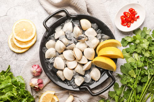 水產(chǎn)腌生鮮白貝海鮮美食攝影圖 st攝影