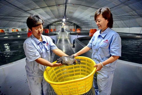 涉林下經(jīng)濟 深遠(yuǎn)海養(yǎng)殖等,大食物觀構(gòu)建多元化供給體系