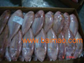 青島進口海鮮清關代理公司 生產廠家、價格與海鮮進口全解析